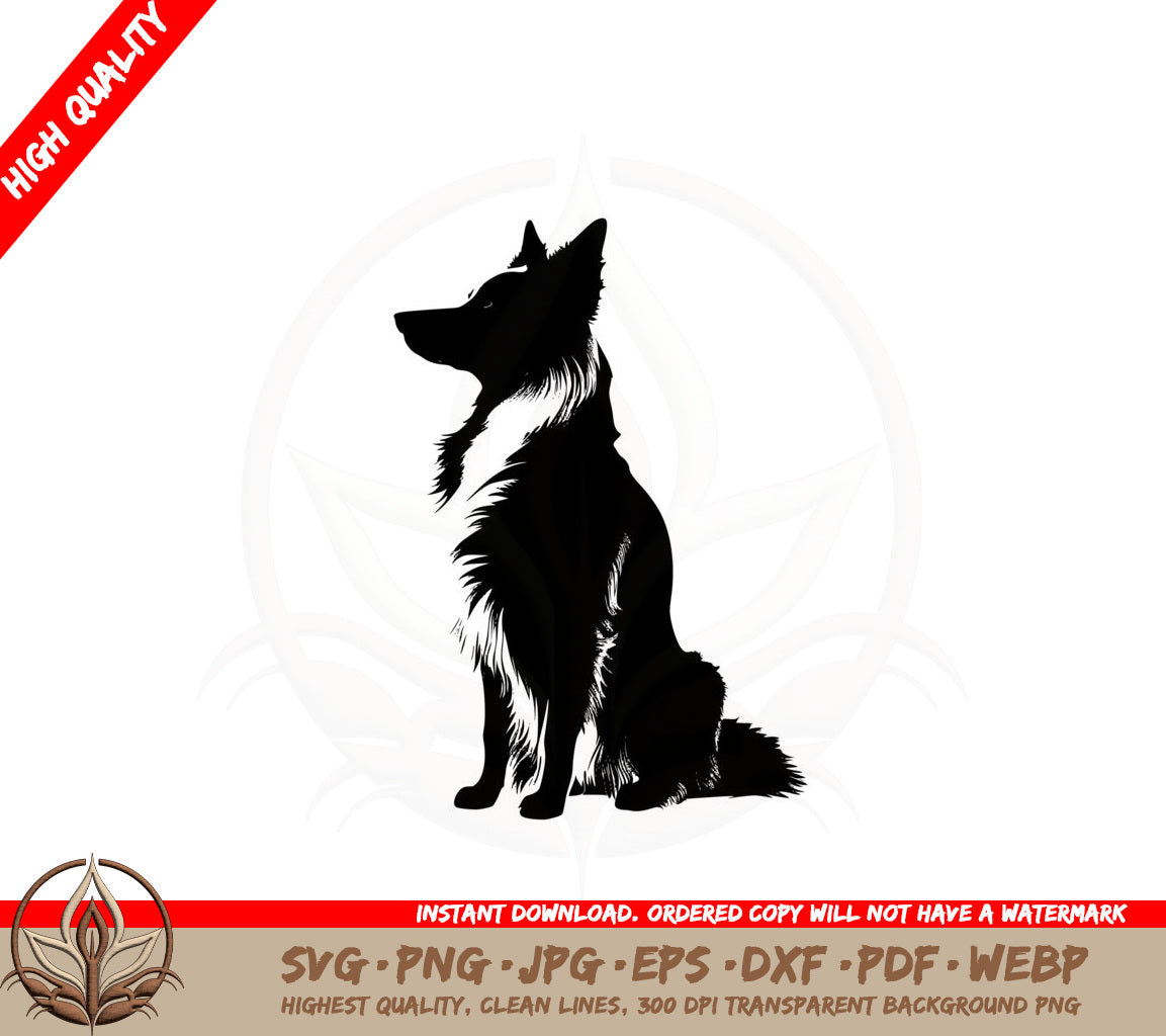 Border Collie SVG