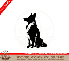 Border Collie SVG