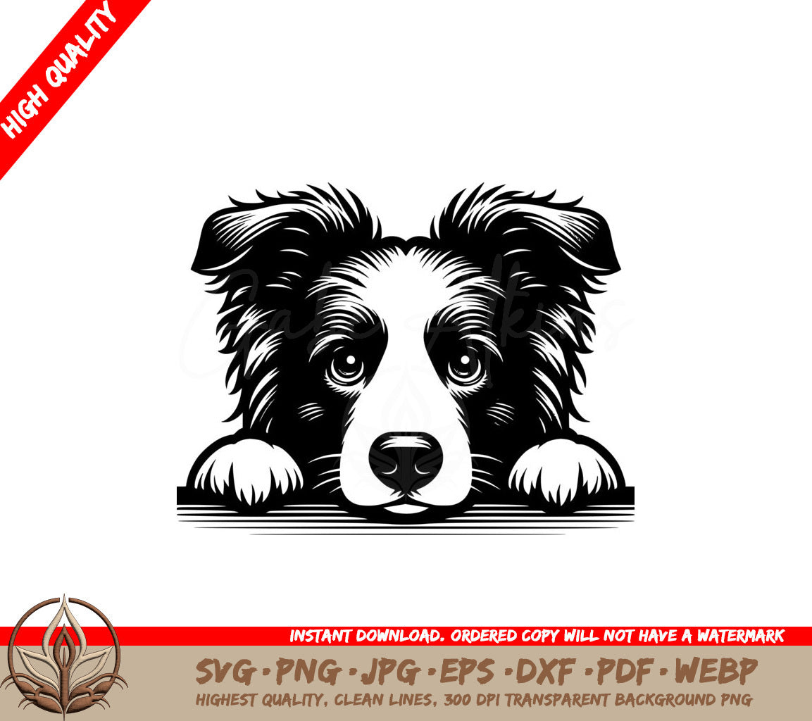 Border Collie Watch SVG