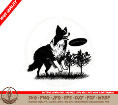 Border Collie With A Frisbee SVG