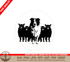 Border Collie Working Sheep SVG