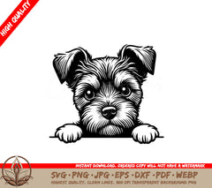 Border Terrier Gaze SVG - Digital Product in multiple file formats.