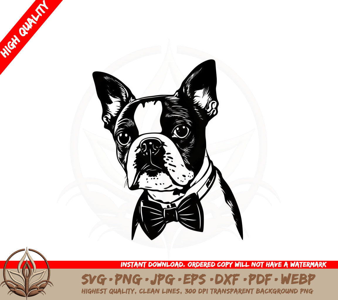 Boston Terrier With A Bow Tie SVG