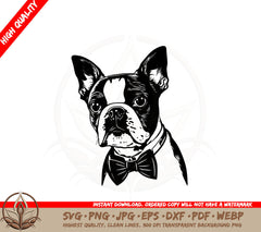 Boston Terrier With A Bow Tie SVG