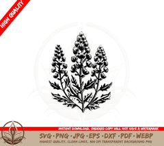 Botanical Lupine Flowers SVG