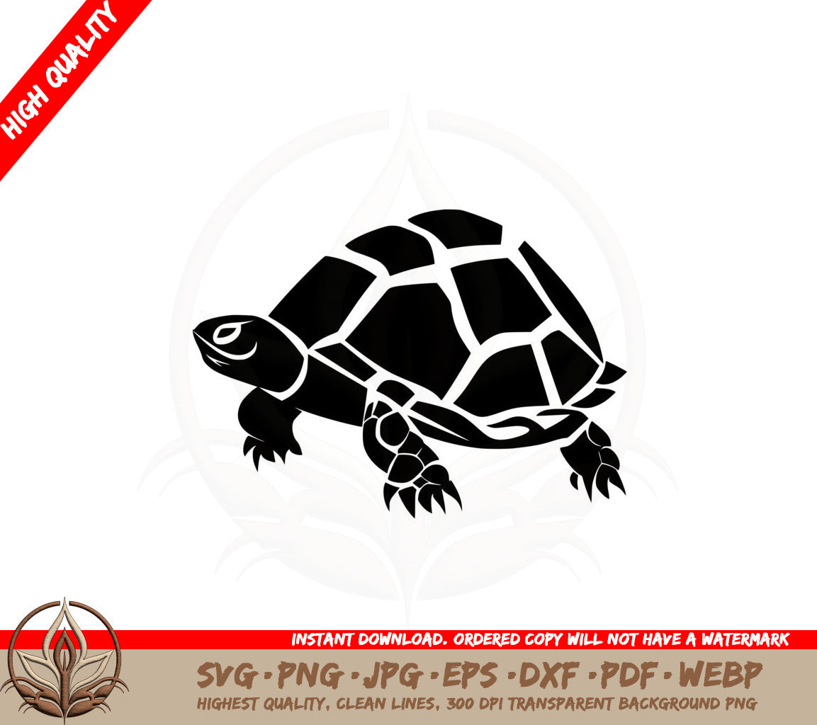 Box Turtle SVG