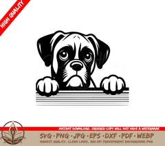 Boxer Dog Peek SVG - Digital File (SVG, PNG, JPG, AI, PDF, DXF, EPS, WebP)