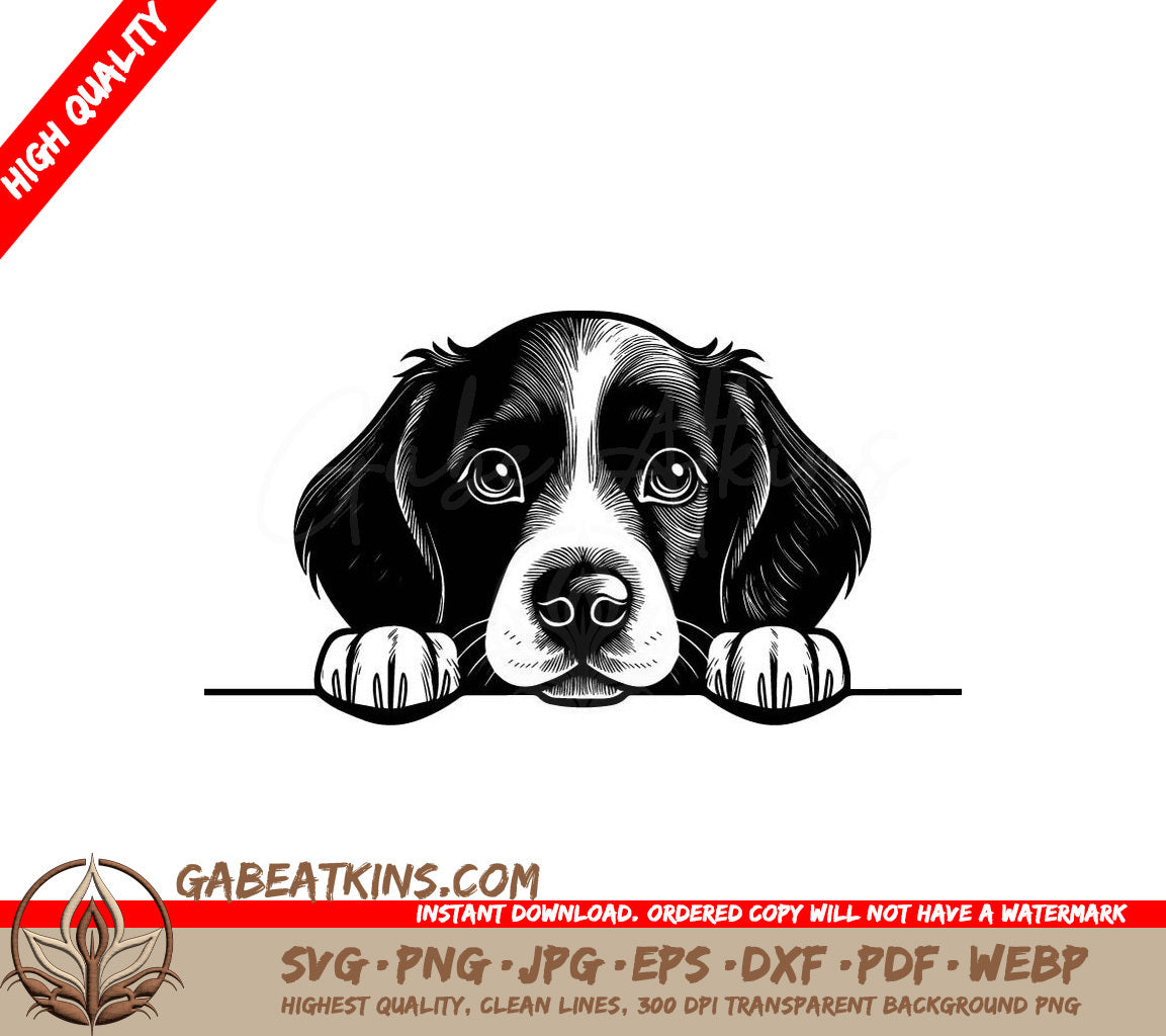 Springer Spaniel Peeking Over Wall SVG - Boykin Spaniel SVG