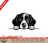 Springer Spaniel Peeking Over Wall SVG - Boykin Spaniel SVG