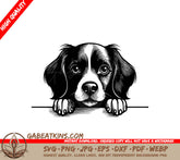 Boykin Spaniel Looking Over Wall - Dog SVG SVG