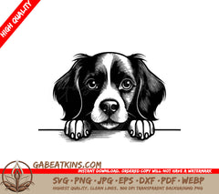 Boykin Spaniel Looking Over Wall - Dog SVG SVG