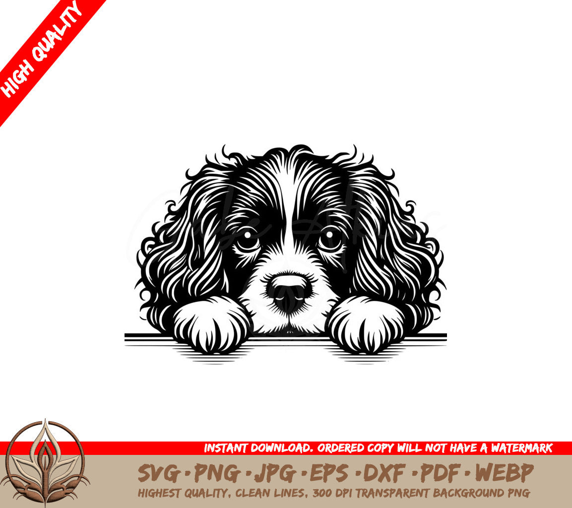 Boykin Spaniel Peek SVG - Digital Product in Multiple Formats