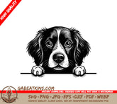 Brittany Spaniel Wall Peeking SVG SVG