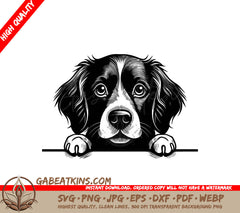 Brittany Spaniel Wall Peeking SVG SVG