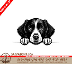 Brittany Spaniel Peeking Over Wall SVG SVG