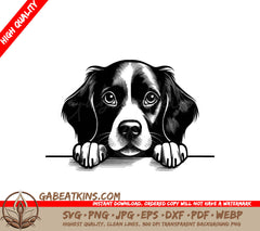 Brittany Spaniel Looking Over Wall SVG SVG