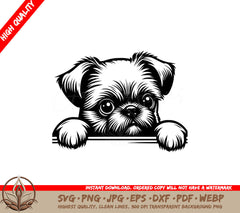 Brussels Griffon Peeking SVG