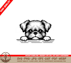 Brussels Griffon Puppy Peek SVG - Digital Product in Multiple Formats