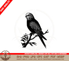 Budgie on a Perch SVG