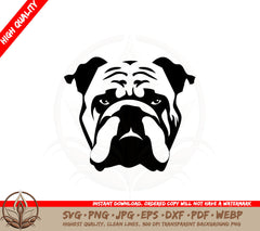 Bulldog with Wrinkled Face SVG