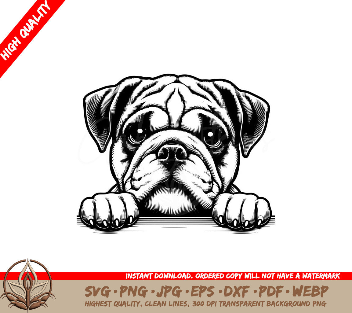 Bulldogs Intense Stare SVG, PNG, JPG, AI, PDF, DXF, EPS and WebP Digital Download