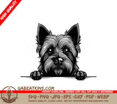 Cairn Terrier Peeking Over Wall  SVG SVG