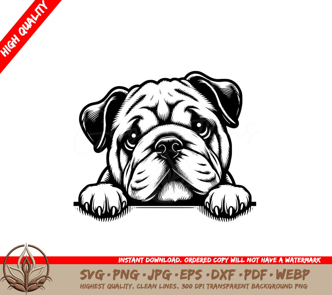 Calm Bulldog Stare SVG - Digital Product in Multiple Formats