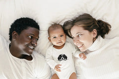 Cavalier King Charles Spaniel Peeking Over Table SVG - Drawing SVG