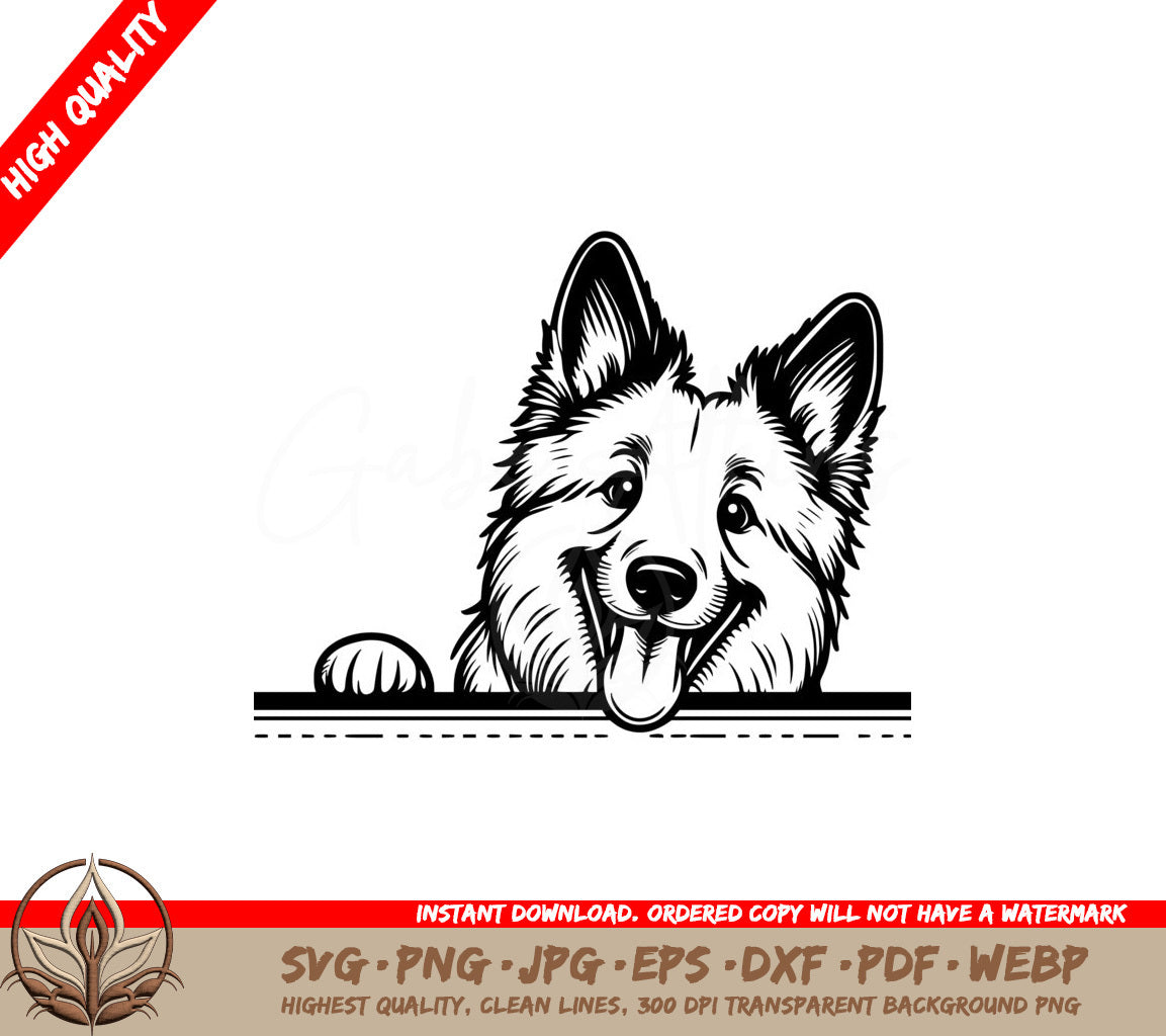 Cheerful Belgian Malinois Peeking SVG