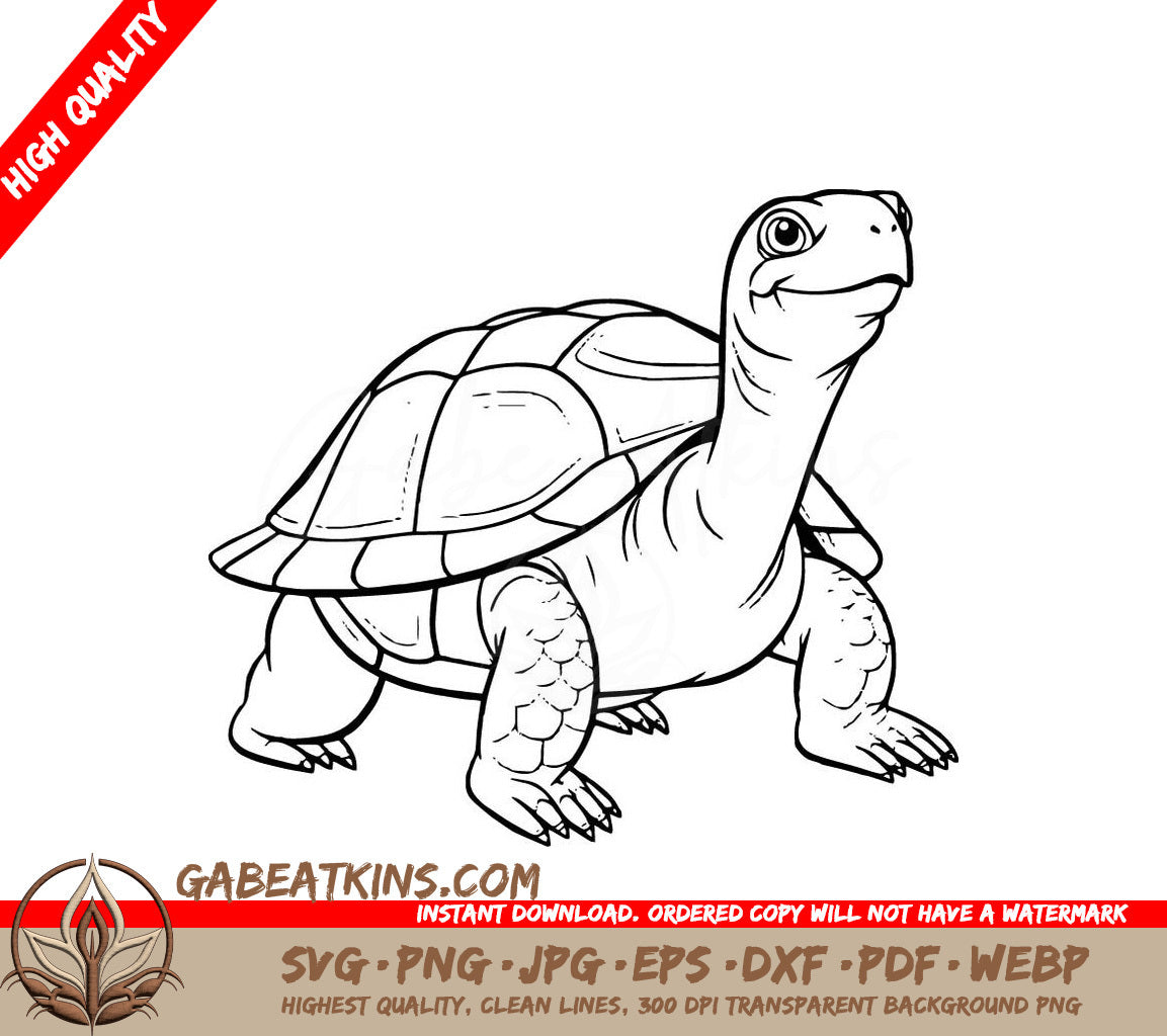 A Turtle On A White Background SVG - Cheerful Turtle SVG