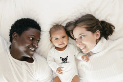 Chihuahua Peeking Over Wall SVG - Adorable Dog Illustration SVG