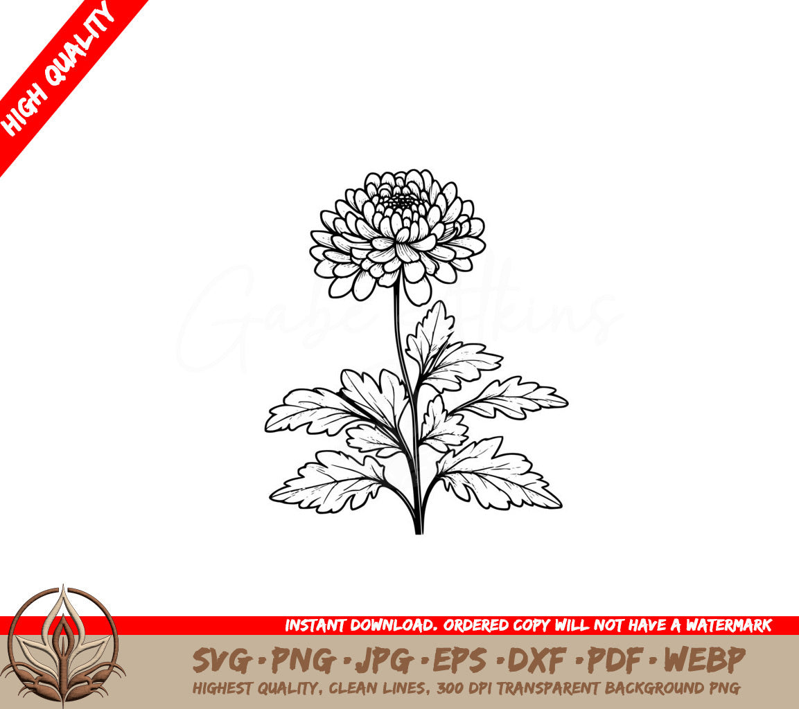 Chrysanthemum Beauty SVG - Digital Product in Multiple Formats