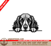 Cocker Spaniel Peeking Over Wall SVG SVG