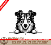 Collie Dog Peeking Over Wall SVG SVG