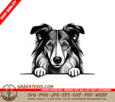 Collie Peeking Over Wall -  SVG Illustration SVG