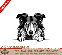 Collie Peeking Over Wall - SVG Illustration SVG