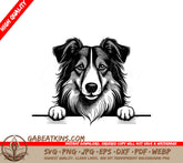 Border Collie Peeking Over Wall -  SVG SVG