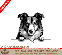 Collie Dog Paw Print SVG - Illustration SVG