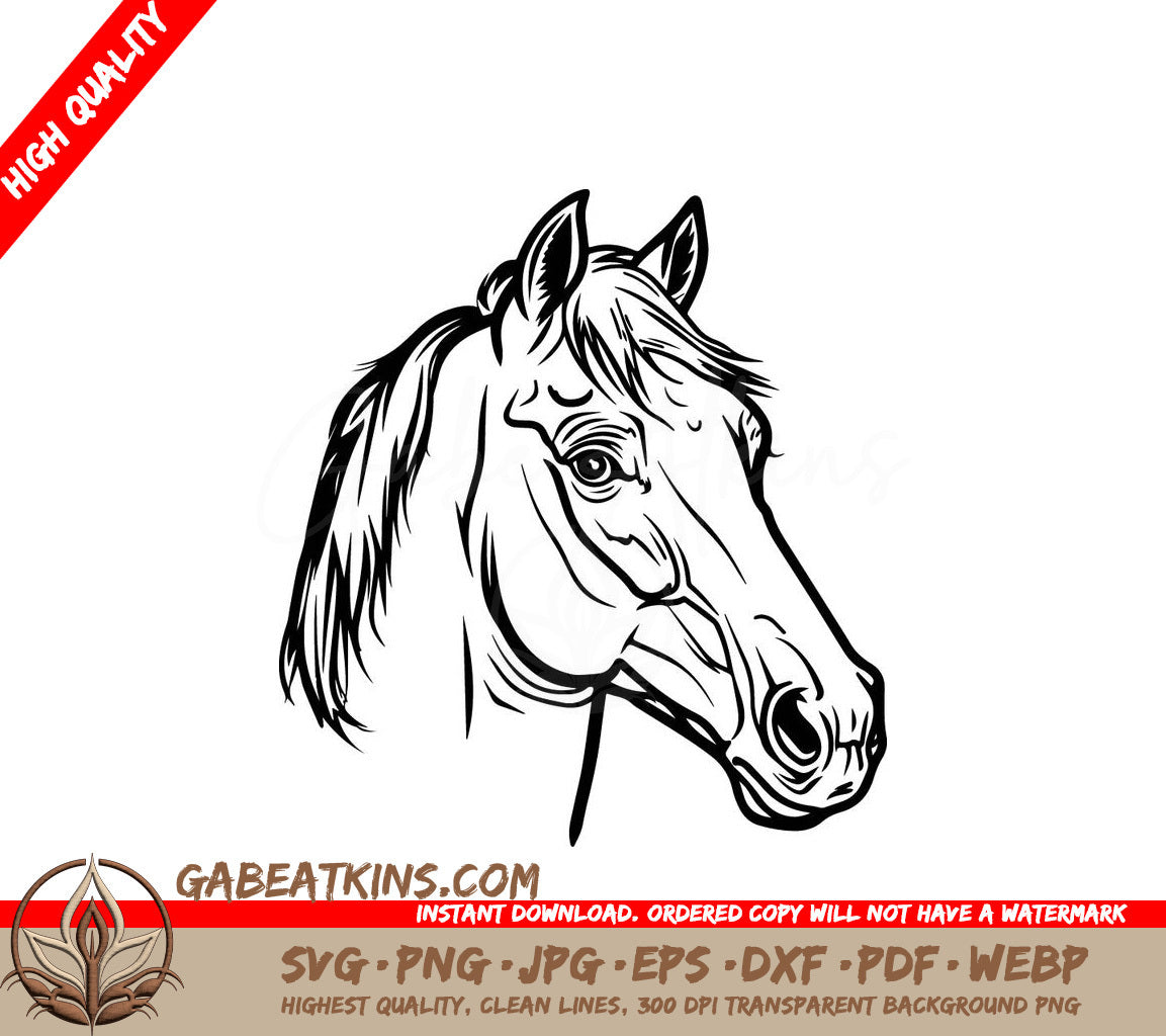 A Horses Head SVG - Coloring book vector illustration of drawing of Horse SVG