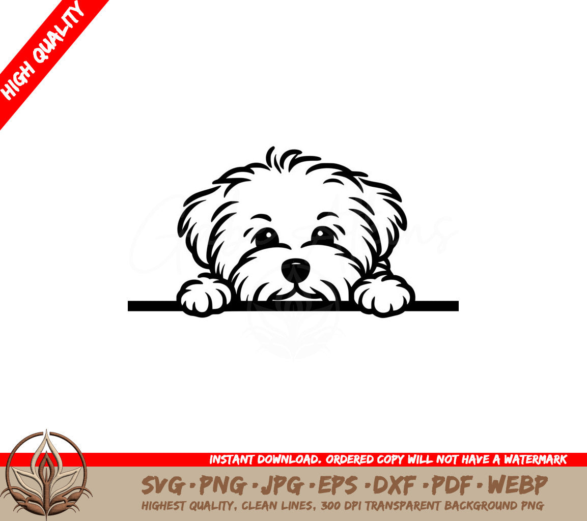 Cotons De Tulear Peeking SVG - Digital File in Various Formats