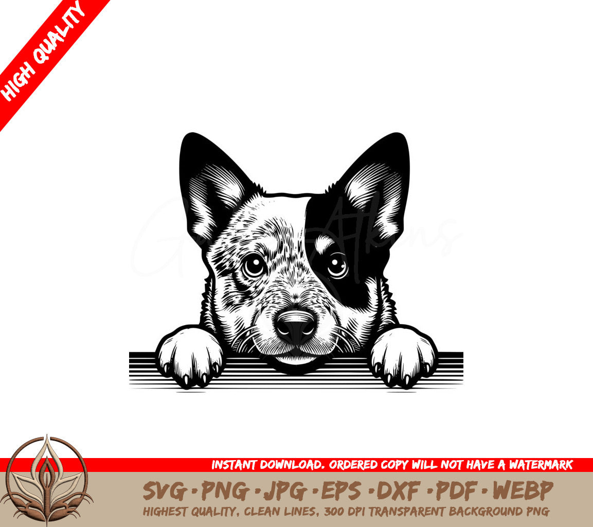 Curious Aussie Shepherd Peeking SVG - Digital Product file offered in SVG, PNG, JPG, AI, PDF, DXF, EPS and WebP file formats for flexibility.