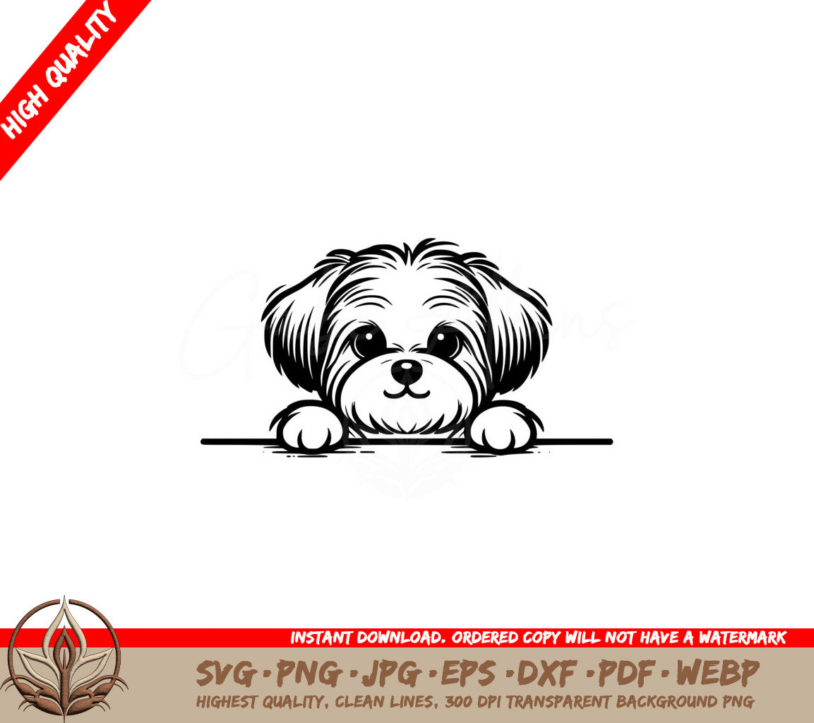 Curious Morkie Peek SVG Illustration