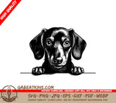 Dachshund Peeking Over Wall SVG -  Illustration SVG