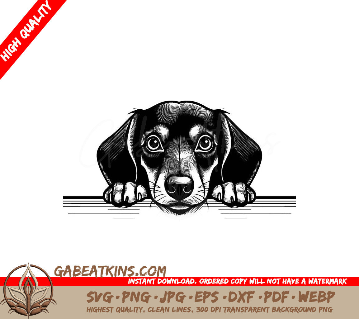 Dachshund Peeking Over Wall - SVG SVG