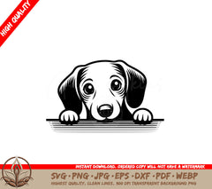 Dachshund Peekaboo Play SVG