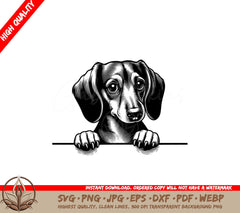 Dachshund Peeking SVG - Digital Product in Multiple Formats