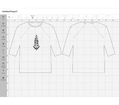 Delicate Delphiniums