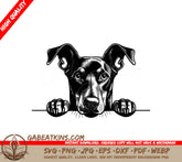 Doberman Pinscher Peeking Over Wall -  SVG Drawing SVG