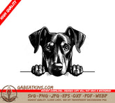 Doberman Pinscher Peeking Over Wall -  SVG SVG
