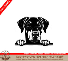 Dobermann Peeking SVG